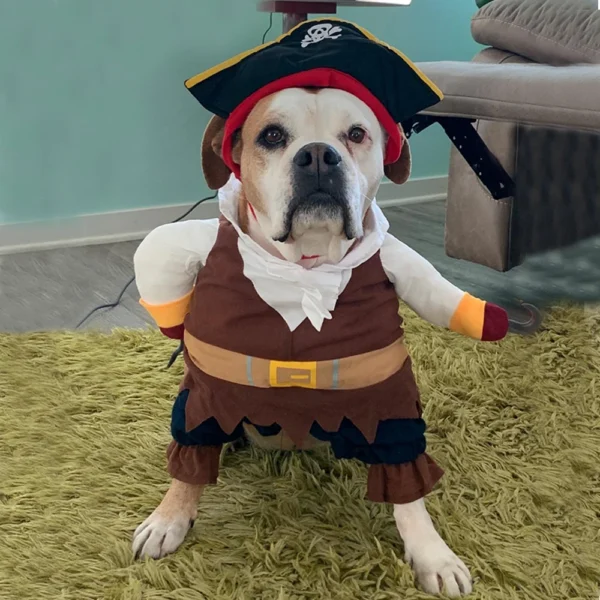 Disfraz Divertido de Perro/Gato Pirata – Talla L - Image 9