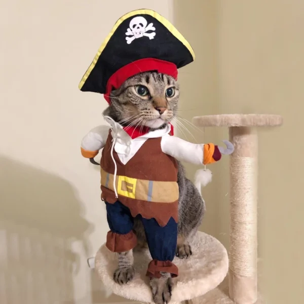 Disfraz Divertido de Perro/Gato Pirata – Talla L - Image 6