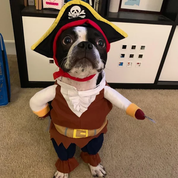 Disfraz Divertido de Perro/Gato Pirata – Talla L - Image 7