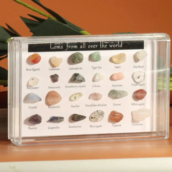Caja de Colección de Piedras Preciosas Naturales – 24 Especímenes Minerales del Mundo - Image 2