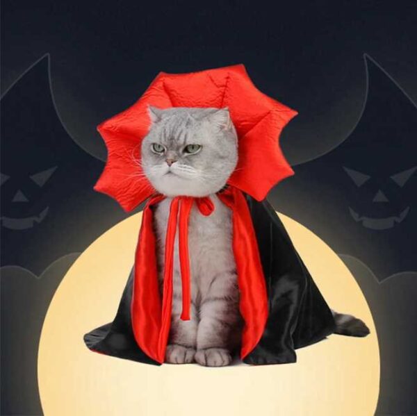 Capa de Halloween para Gatos – Disfraz Divertido y Original | Estilo Drácula | Talla Única Ajustable - Image 6