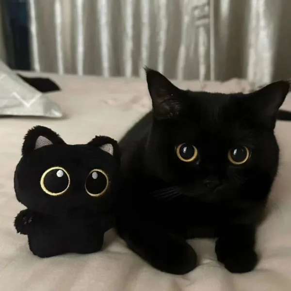 2(dos) Muñecos de Peluche Gato Negro –  Llavero Kawaii - Image 8