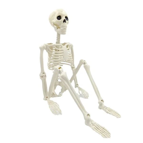 Esqueleto decorativo humano 40cm para Halloween Colombia - Image 5