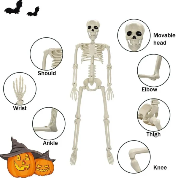 Esqueleto decorativo humano 40cm para Halloween Colombia - Image 4
