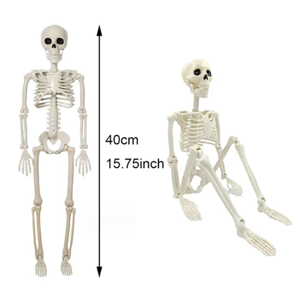 Esqueleto decorativo humano 40cm para Halloween Colombia - Image 3