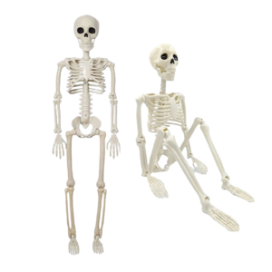 Esqueleto decorativo humano 40cm para Halloween Colombia