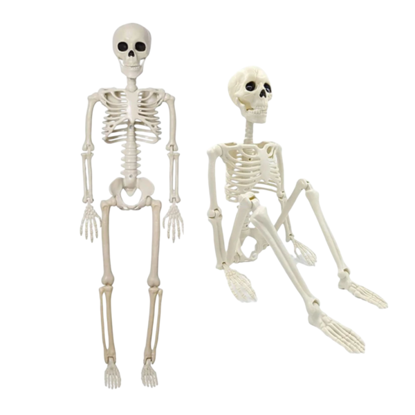 Esqueleto decorativo humano 40cm para Halloween Colombia