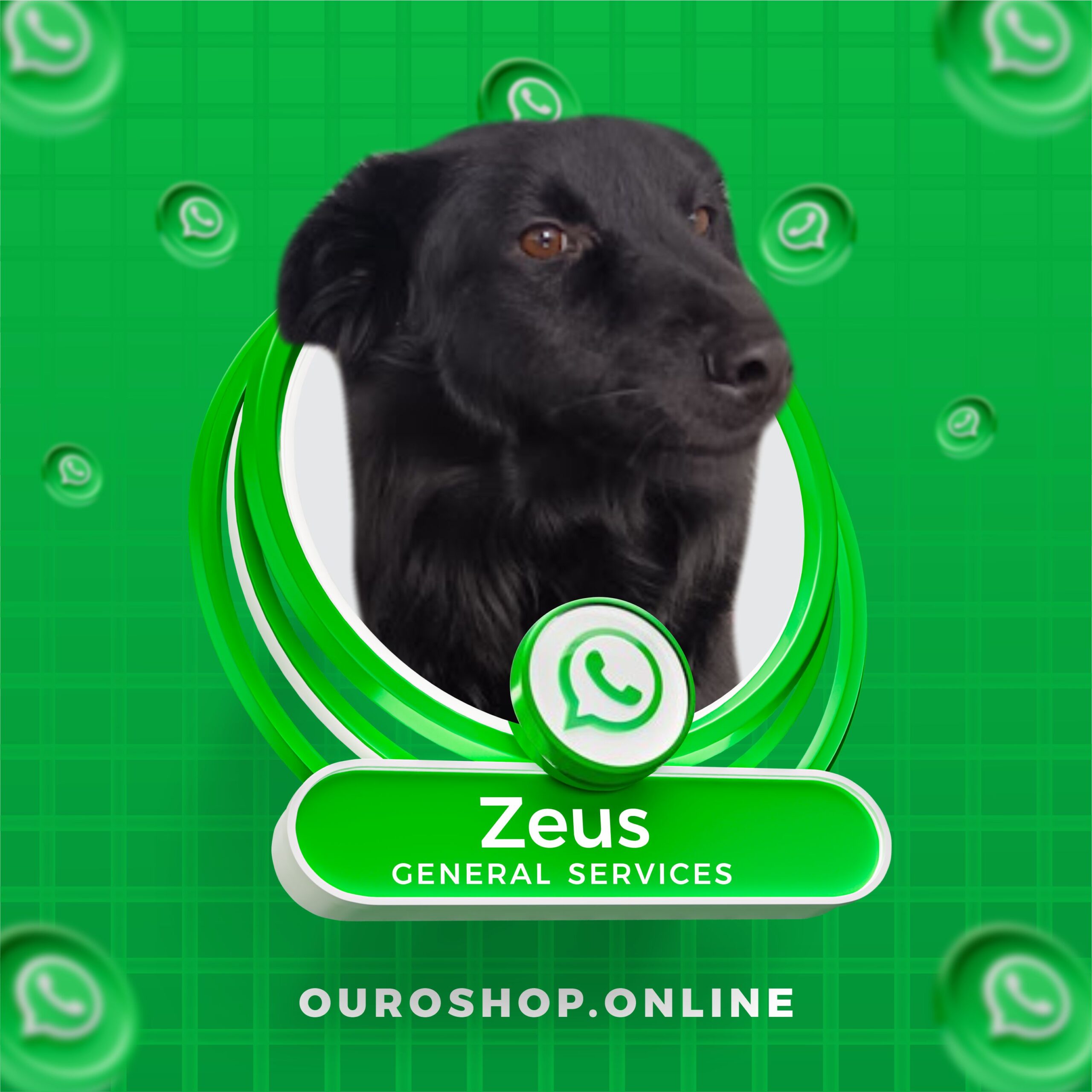 Zeus
